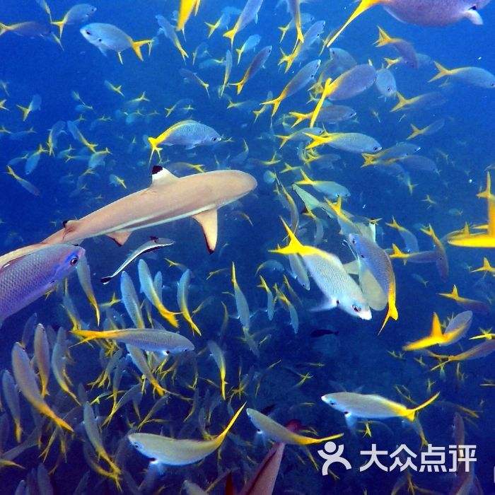 大洋彼岸的国家，充满神秘色彩和恐怖美食的帕劳