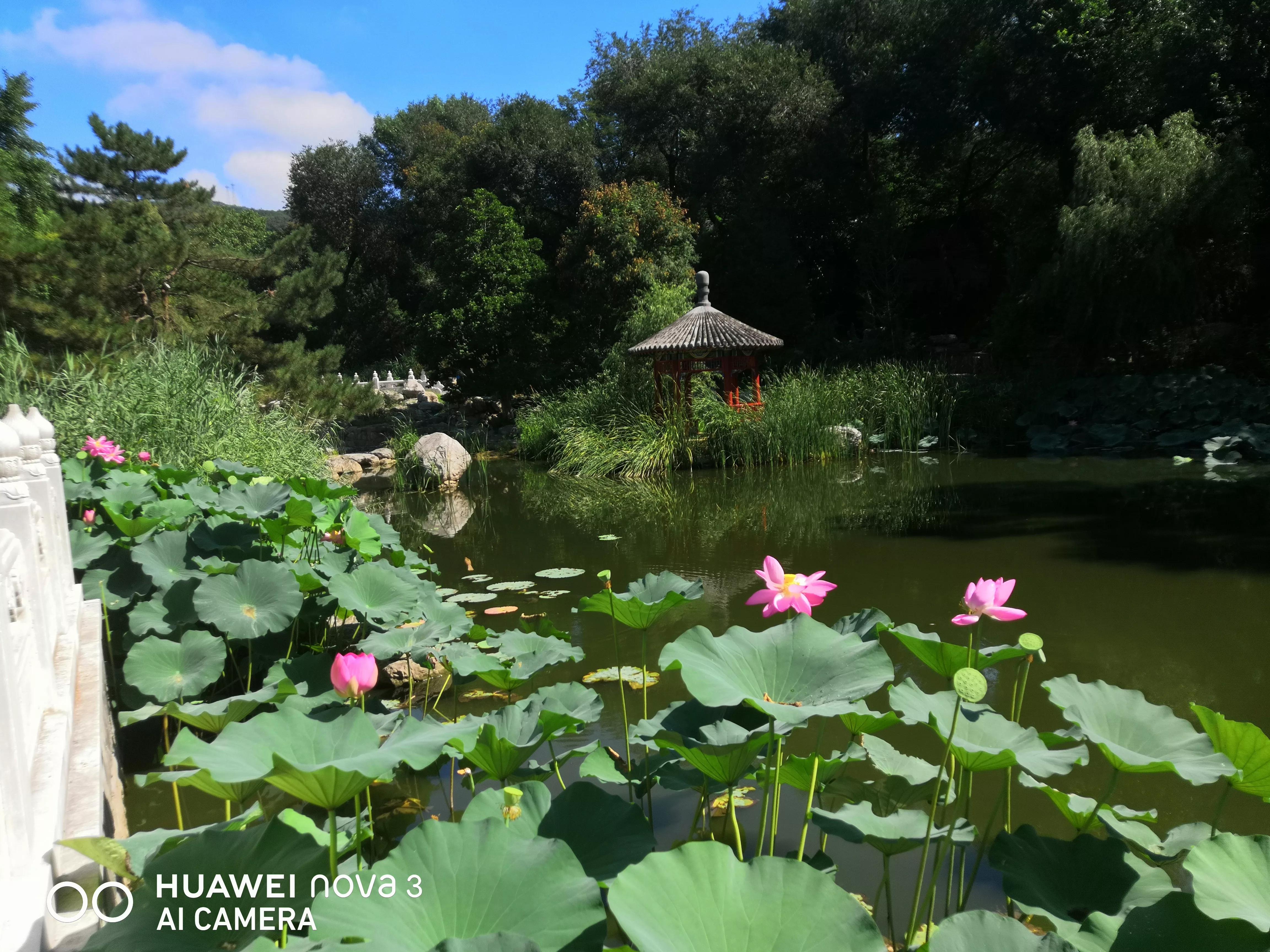 为何叫八大处,八大处从何而来