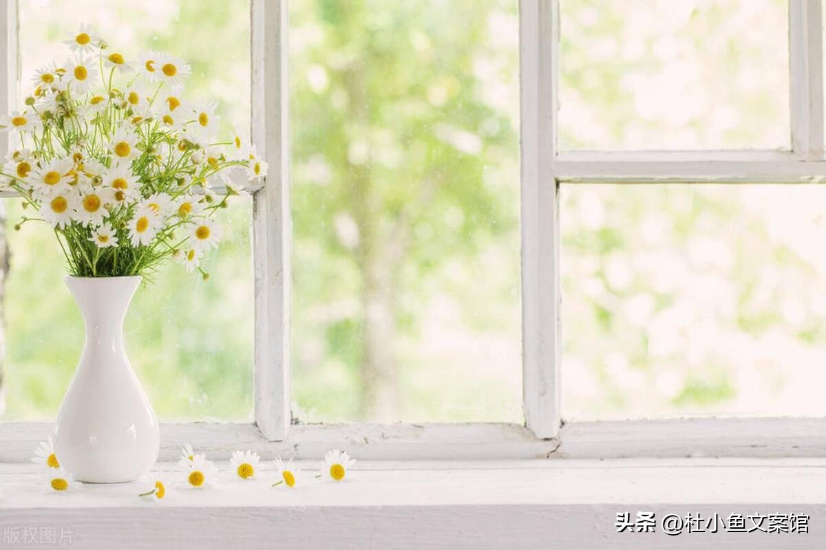 学习如何发朋友圈文案感悟和心得,发朋友圈积极自信文案高级感