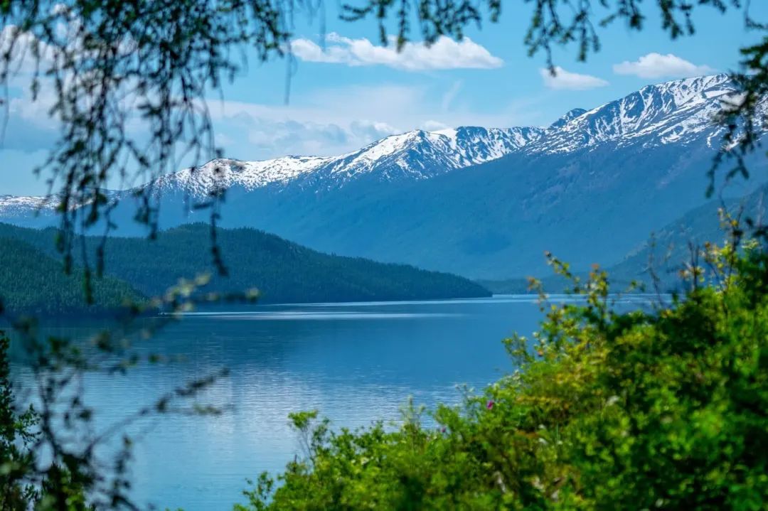 「问答」关于负氧离子，你是否也有这些疑问？