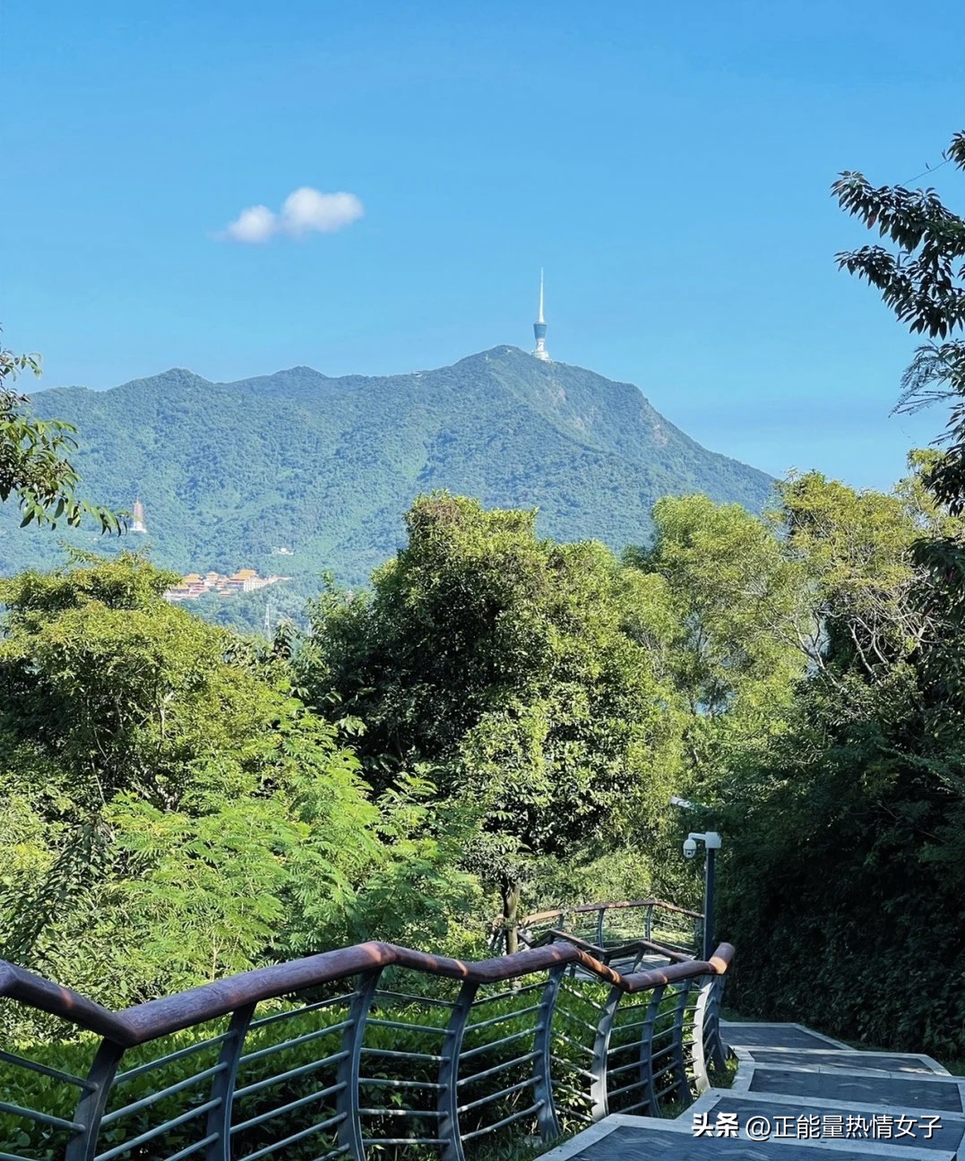 深圳市罗湖淘金山绿道登山口,深圳淘金山绿道海拔高