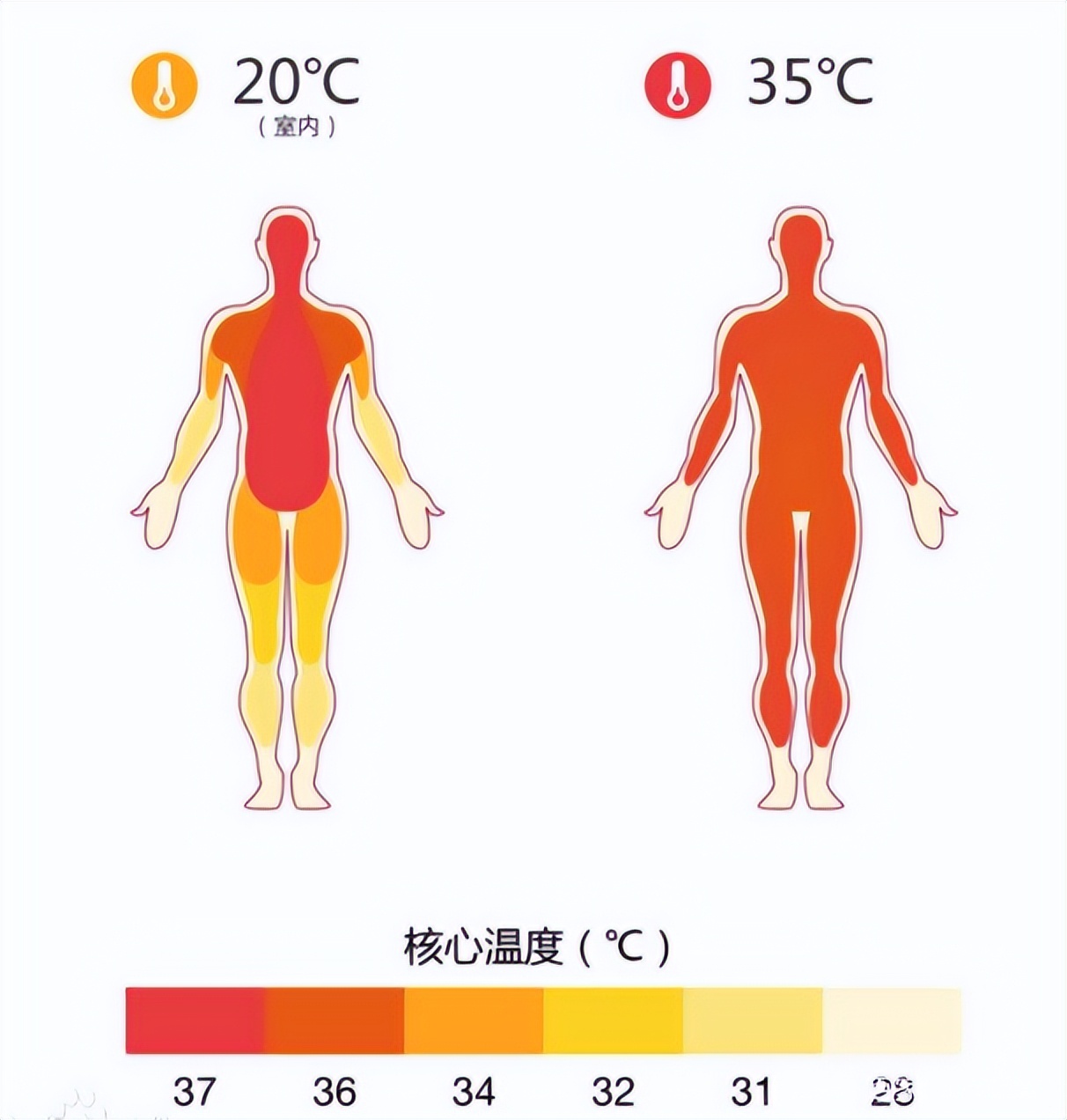 地暖开45度为什么家里还是很冷,明明有地暖但是还是很冷呢