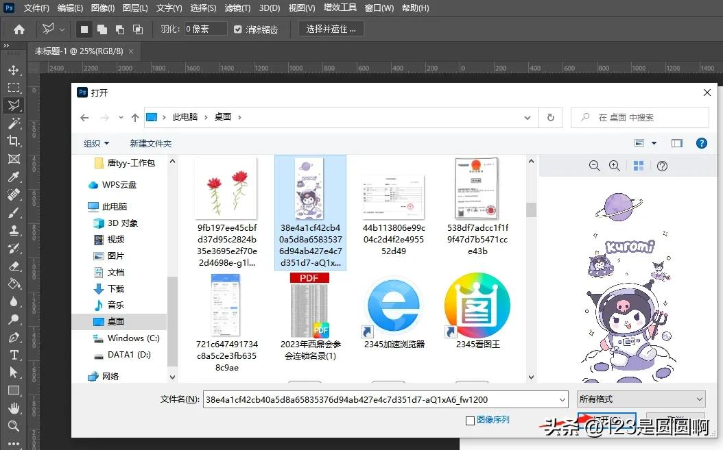 ps套索工具制作白底图,ps中套索工具怎么停止