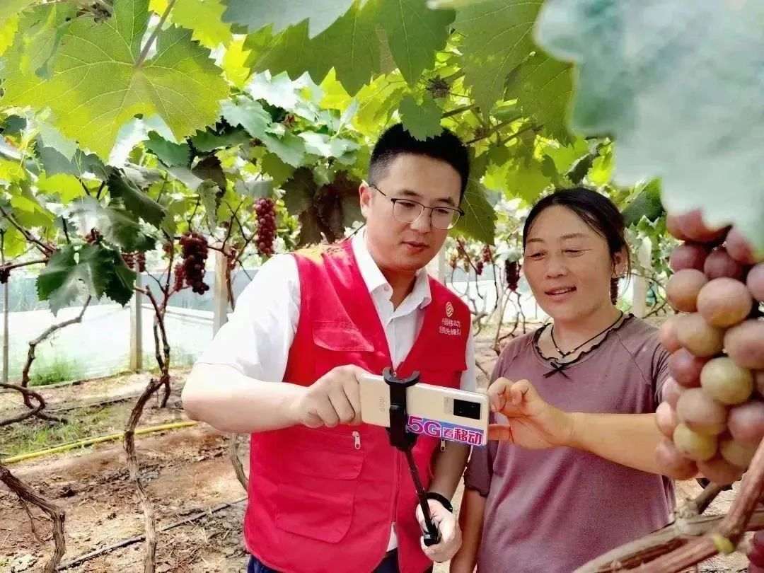 悬念揭晓在即,悬念揭晓视频