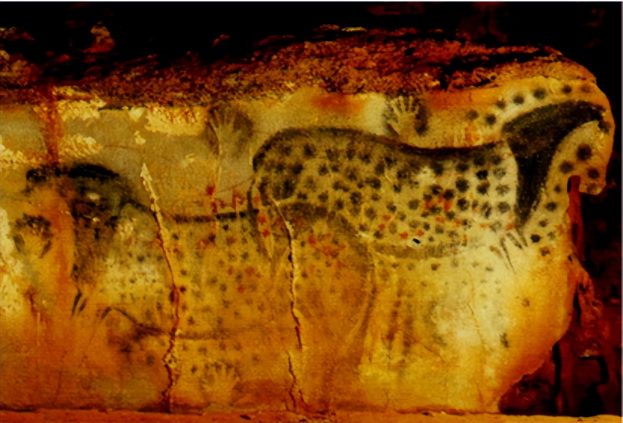 真正的斑马,你不了解的斑马