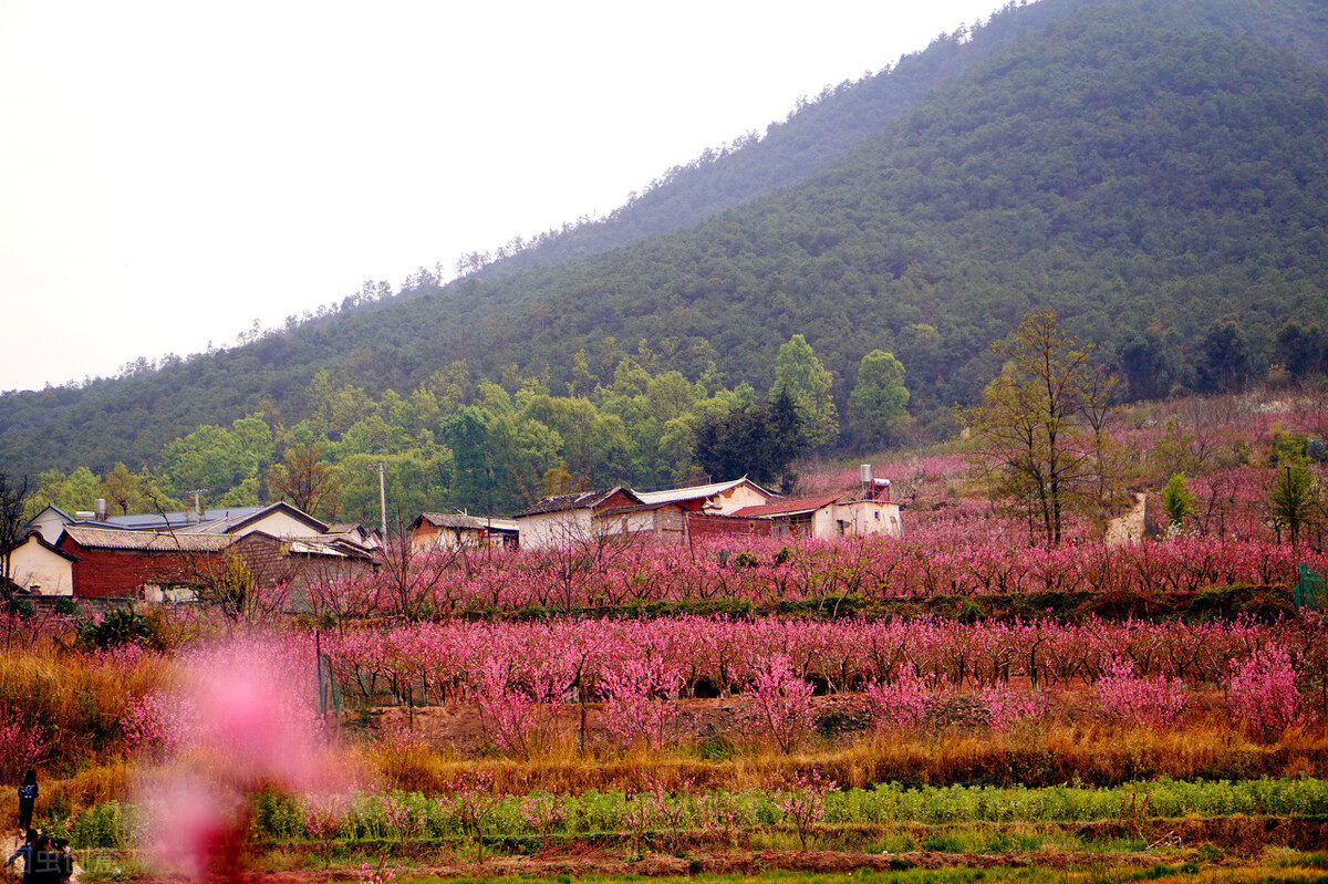 弥渡旅游景点有哪些好玩的,弥渡旅游攻略必去景点有哪些