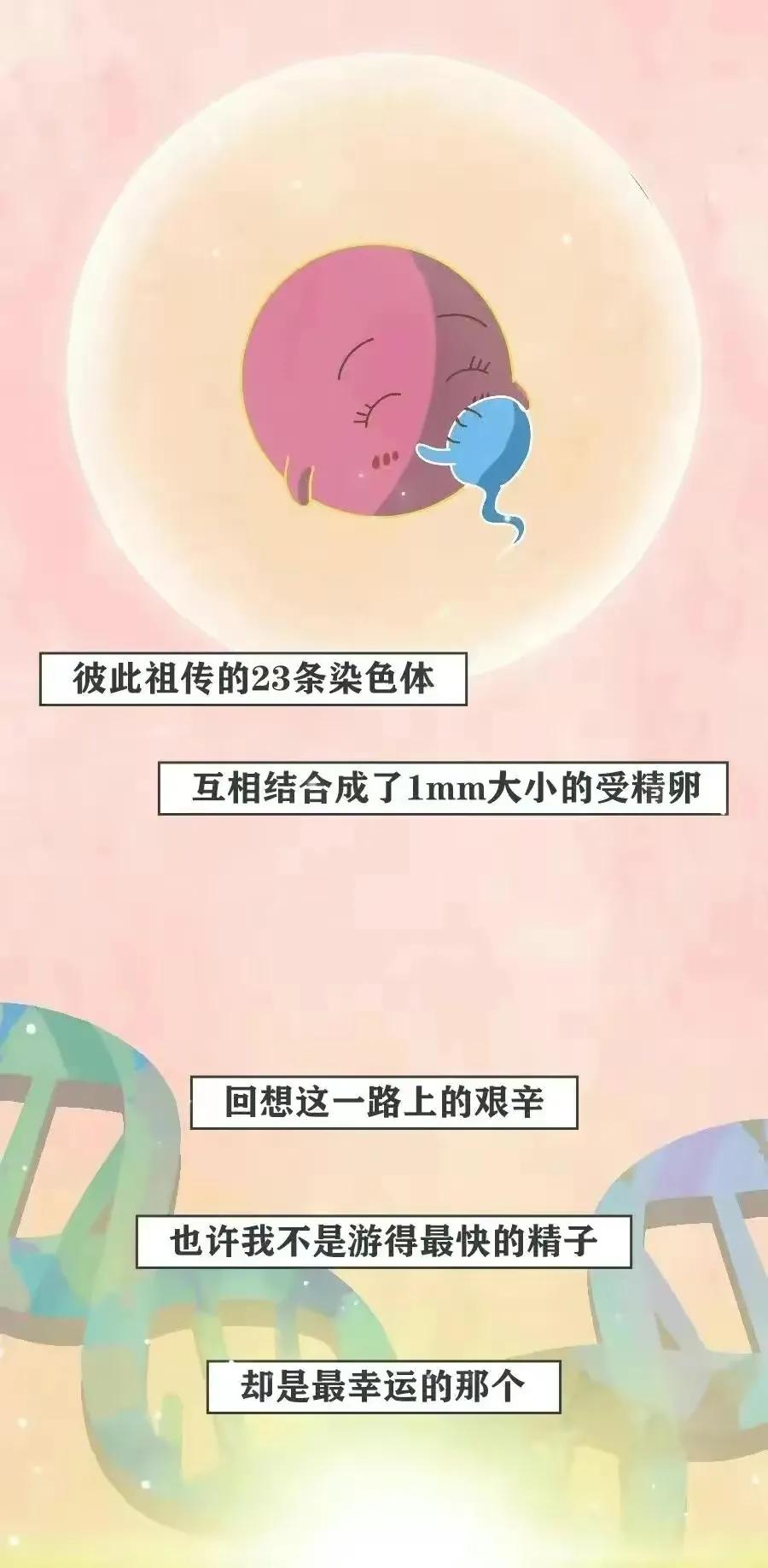精子进入女生体内的全过程，真是一路坎坷又艰难