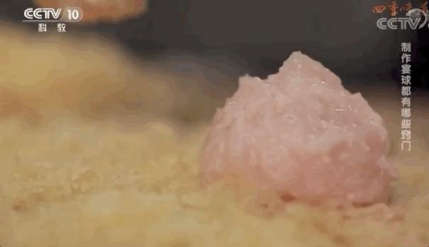 这座佛系安逸的江南老城被赞“全国最美森林火车站”