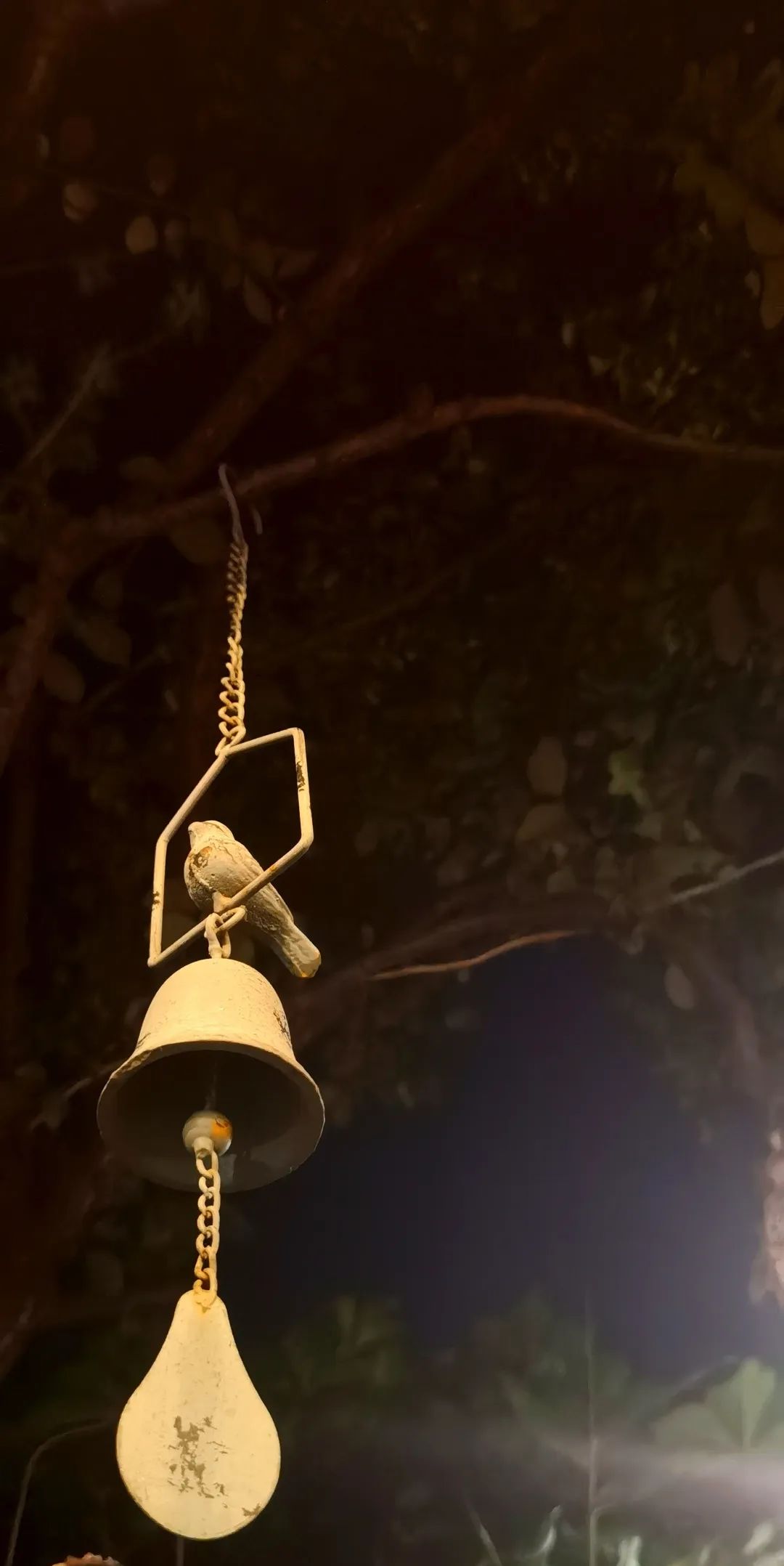 狂飙播出后张颂文有多火,狂飙主演张颂文经纪人