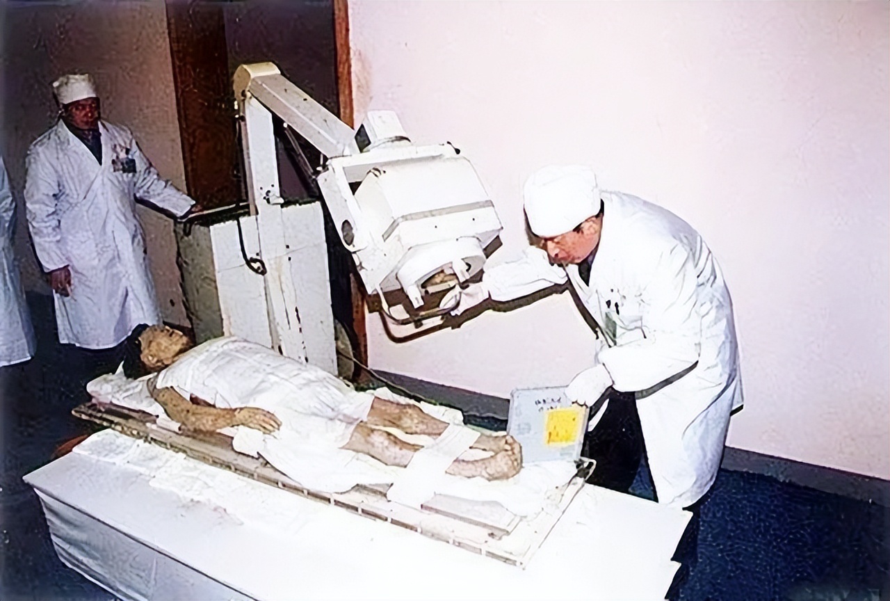 日本当年用什么换辛追夫人头发,日本索要辛追的头发