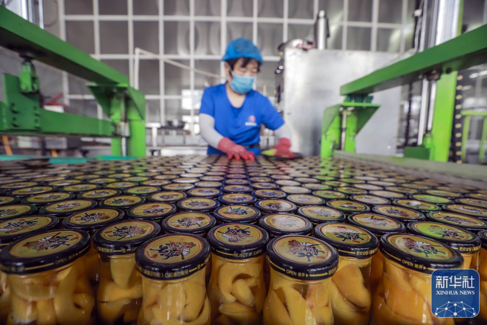 遵化食品加工业帮农增收30亿元,遵化农产品加工忙