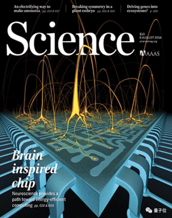 马斯克宣布将大脑思想上传云端,马斯克已将大脑上传云端后会怎样