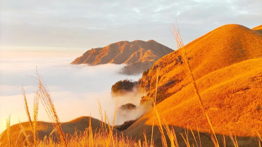 广州出发夜爬武功山详细攻略,广州出发武功山自驾游攻略