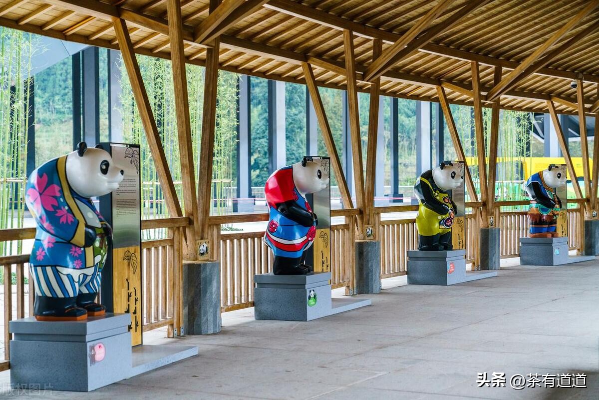 荥经茶马古道徒步线路,雅安荥经茶马古道穿越