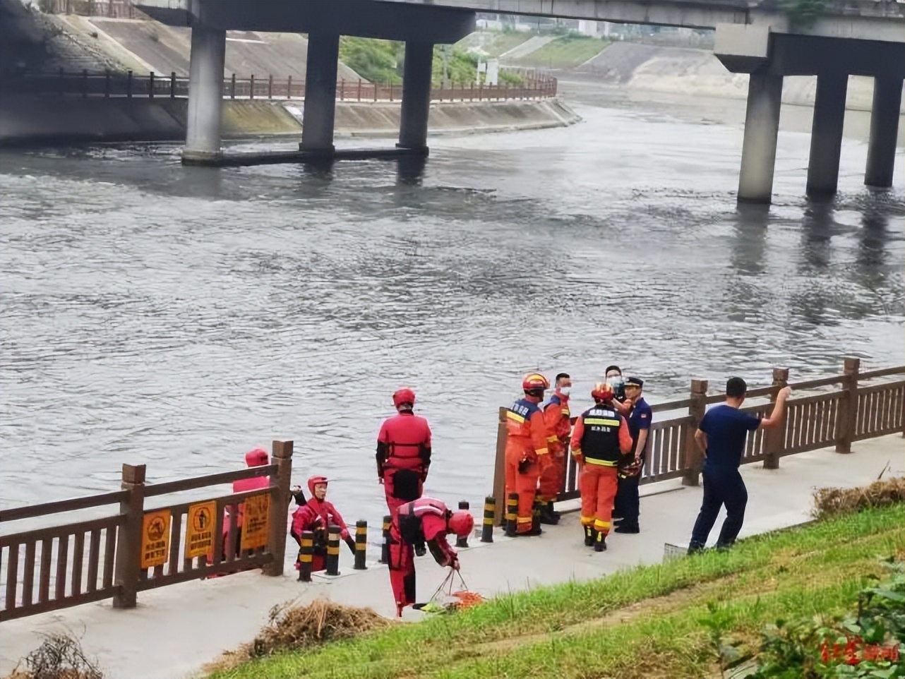 亲眼目睹狗狗落水溺亡,狗掉水里男子救狗