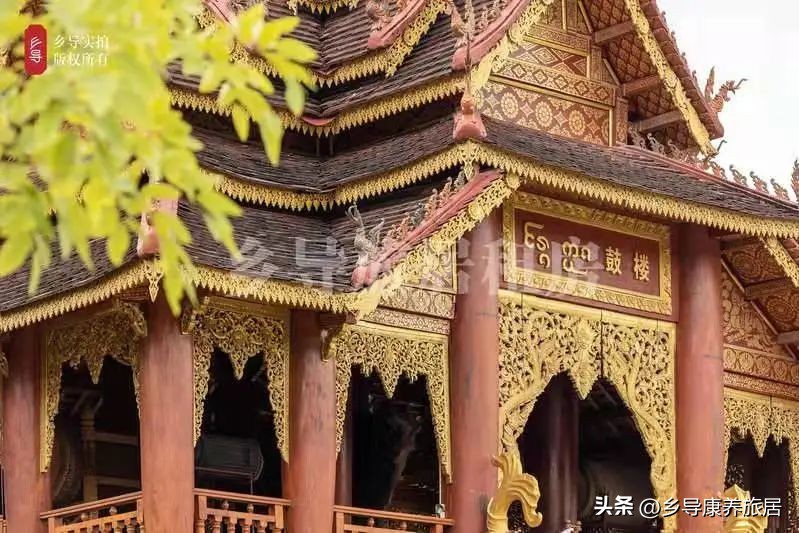 版纳冬天比海口暖和,冬季去版纳避寒夏季去哪里避暑