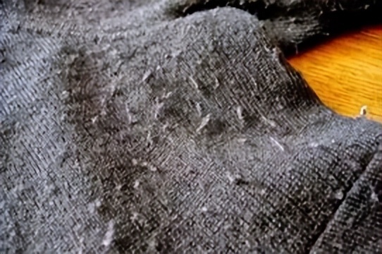 实用生活小窍门100个妙招,生活小窍门妙招大全集值得收藏