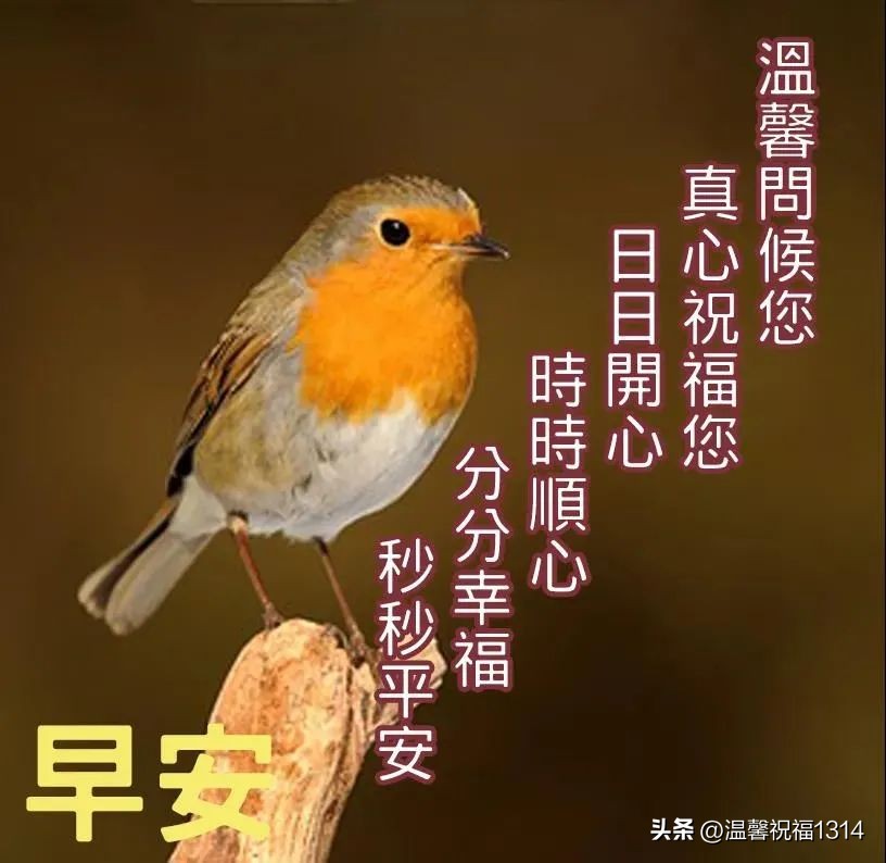 最寒冷的冬天温馨的早安问候图片,冬天最佳早安问候语图片