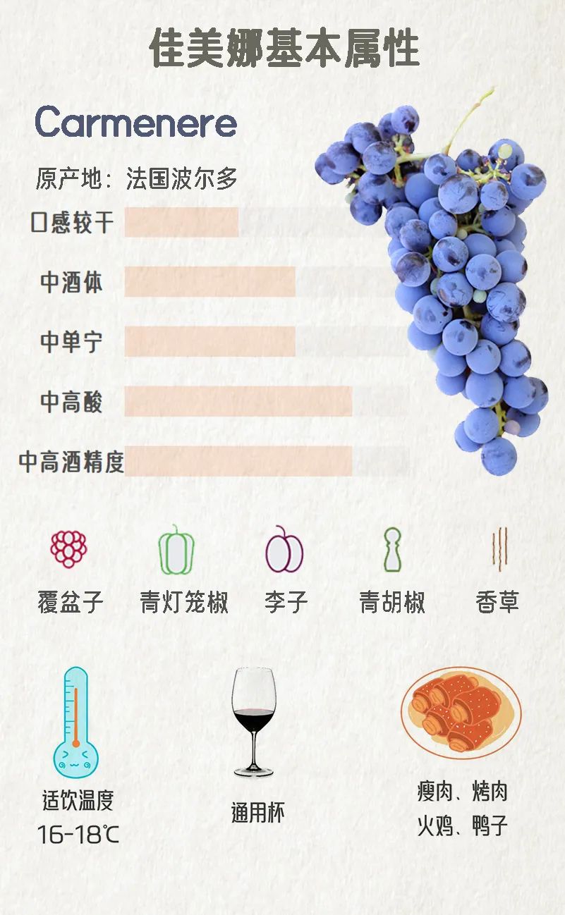 佳美全系列,佳美娜梅洛区别