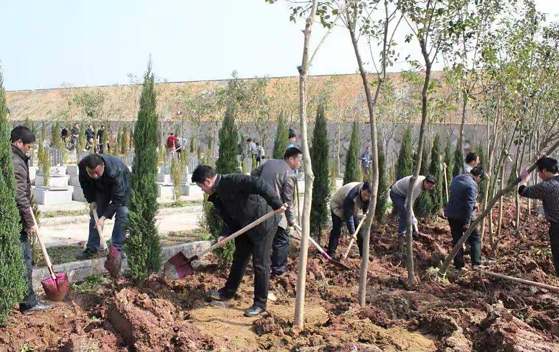 坟旁生三树子孙后代富是啥意思,农村俗语坟前生洞子孙穷