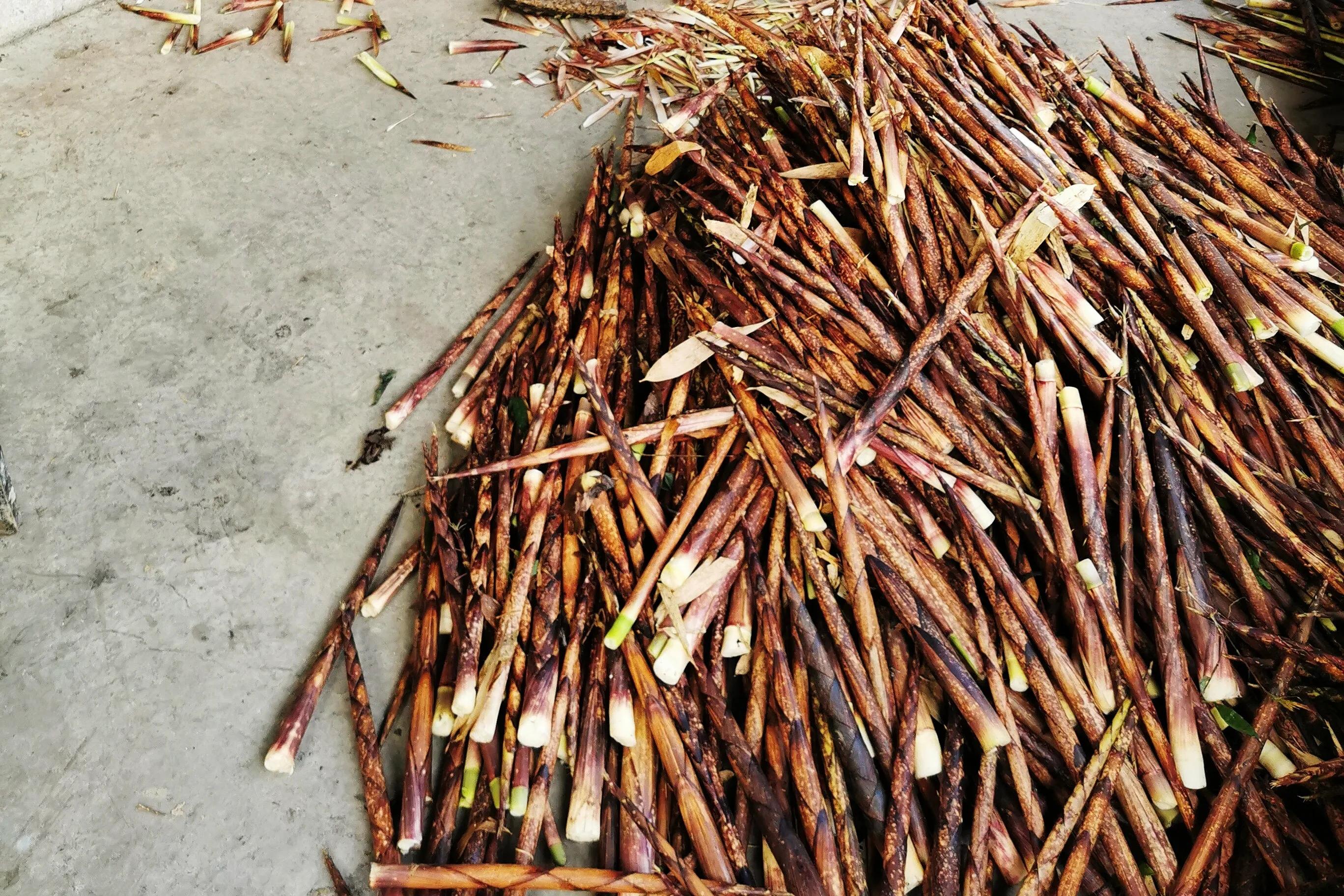 食在贵州农家特产,遵义桐梓马鞍山转盘方竹笋火锅