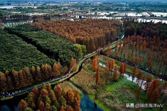 上海最值得去的打卡地,上海必去的打卡地合集