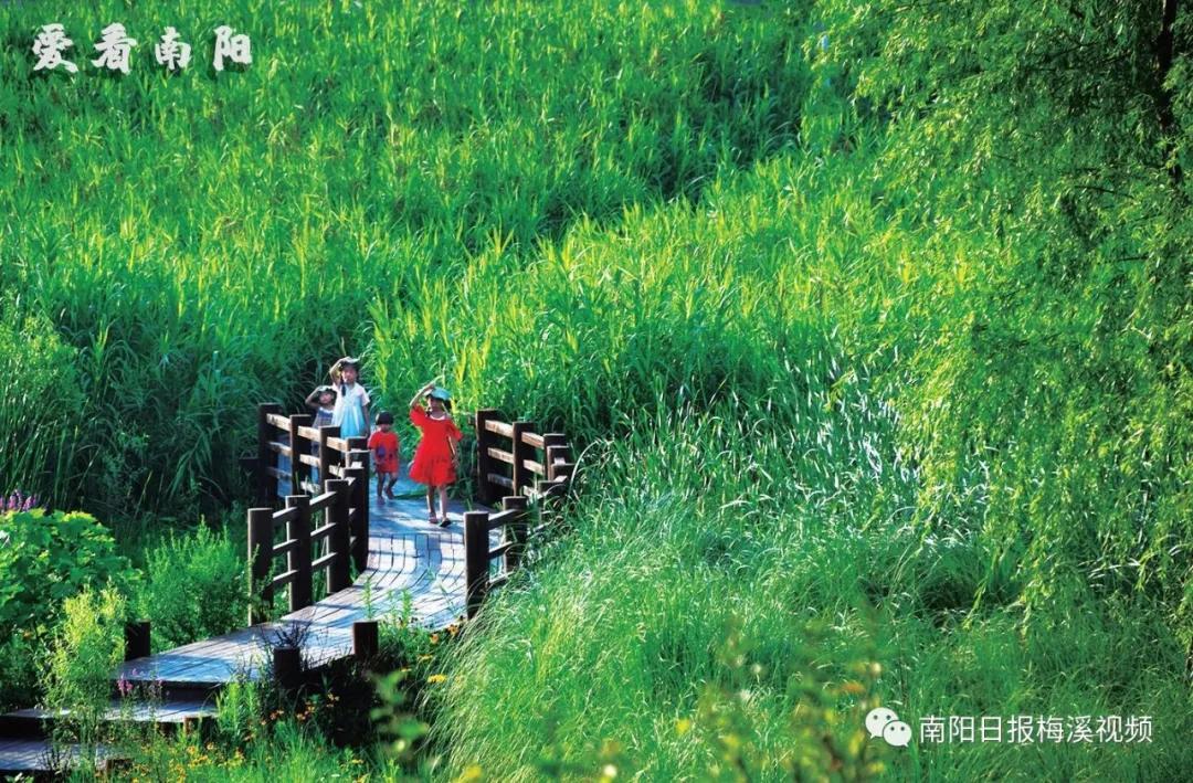 爱看南阳㉟你好2022，再见2021