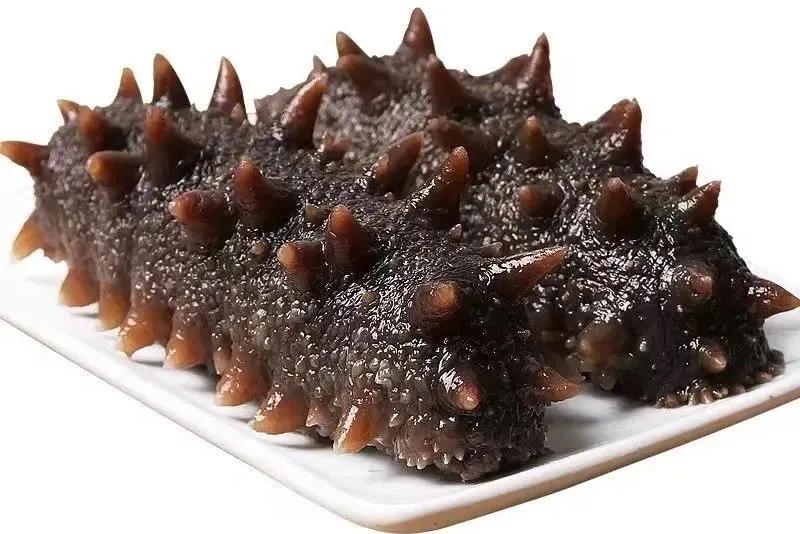 海参知识100问,海参知识图片大全