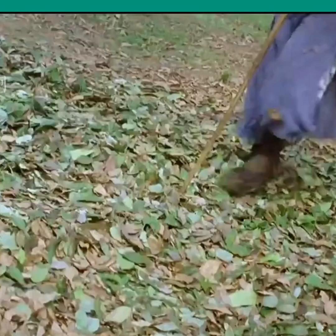 精彩片段分享,精彩片段分享抖音