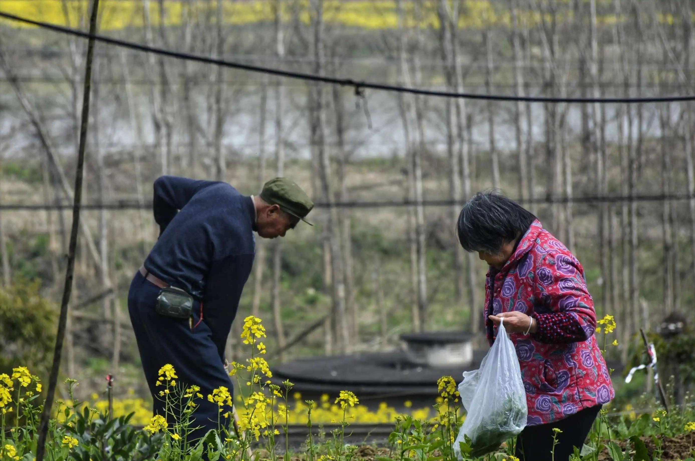 19岁的中国女孩嫁韩国合集,中国女孩19岁嫁韩国人