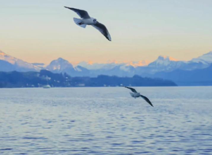 女人为什么要创业，是对现状的不满还是精力过剩？