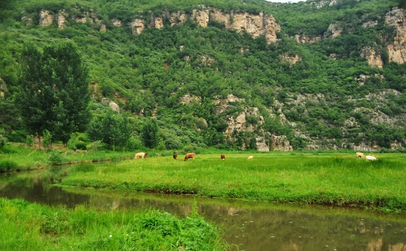 河南旅游必去十大景点推荐理由,推荐河南3个冷门县城