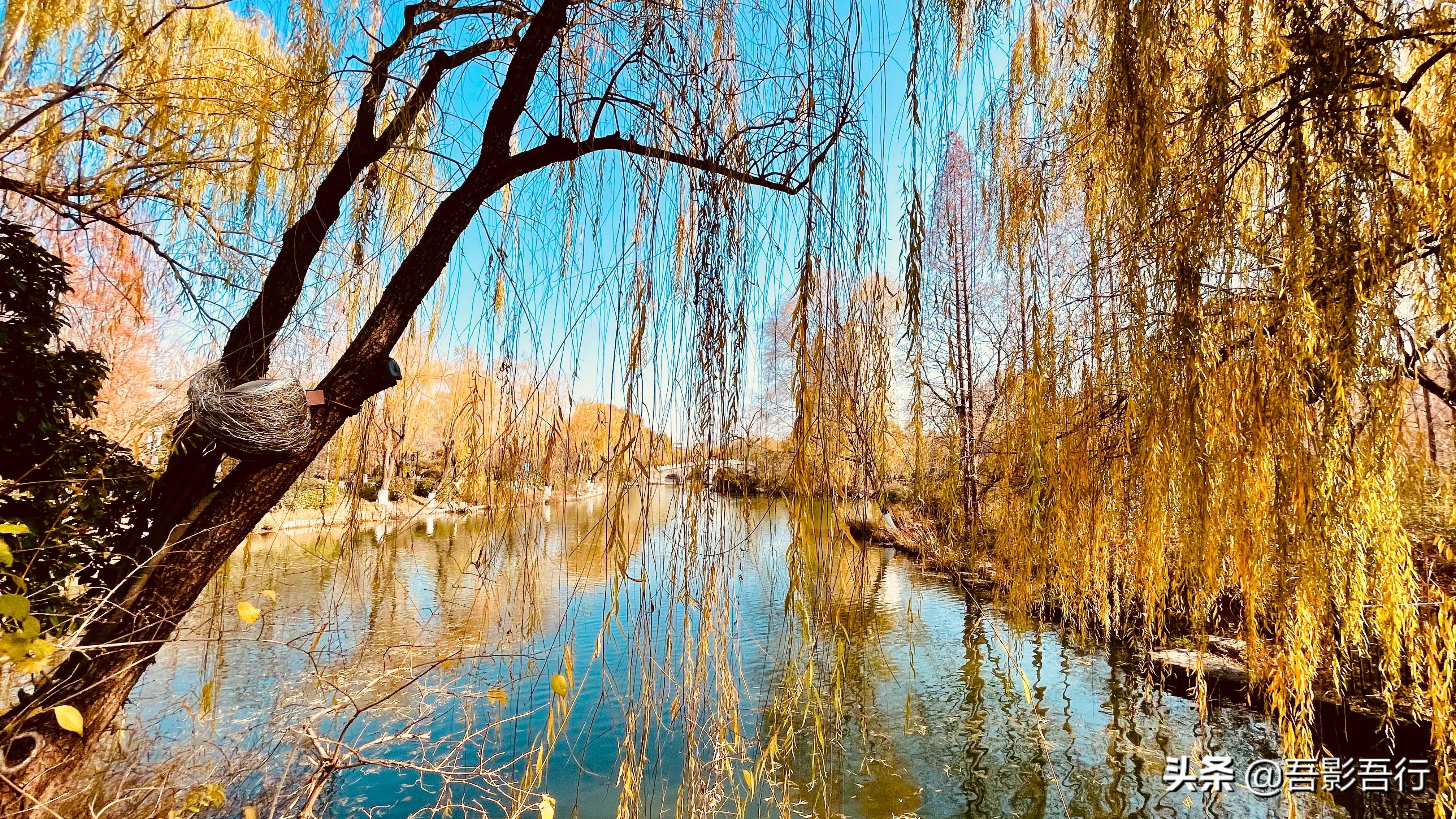济南大明湖秋冬图片高清,初春大明湖美景图片