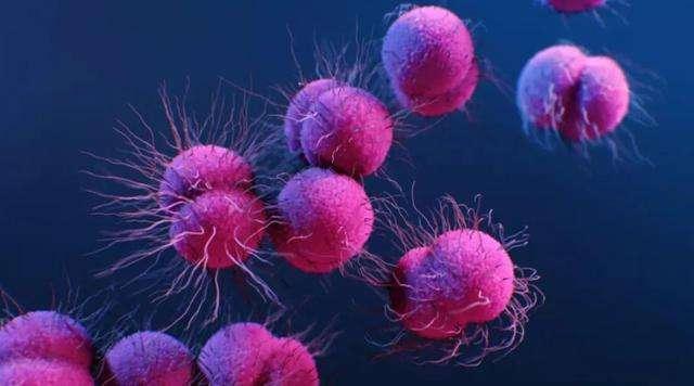 疾病为什么可以通过性传播,5种常见的性传播疾病有哪些