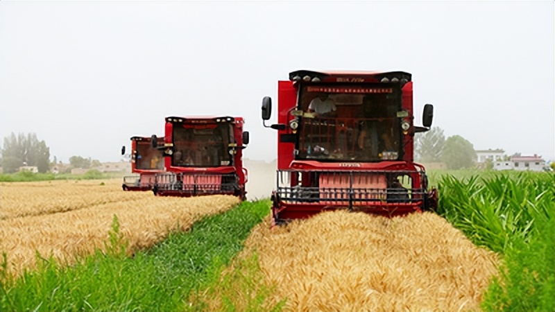 大豆病害最佳防治方法,大豆常见的病害图