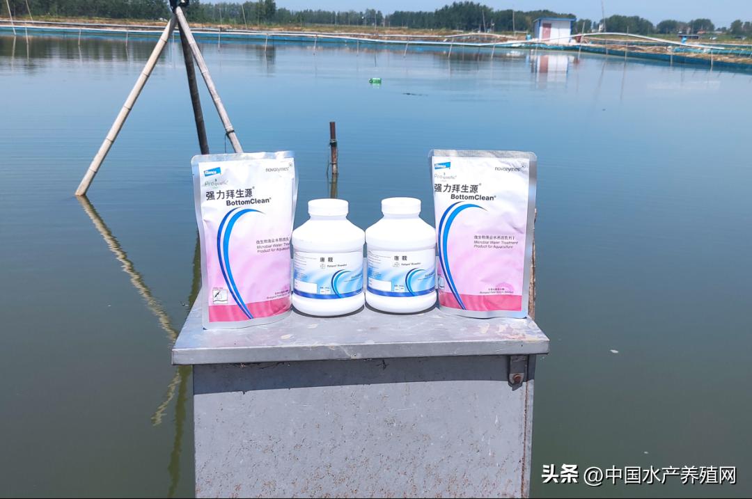 养河蟹一亩稻田一般赚多少,养300亩虾蟹正常能赚多少钱