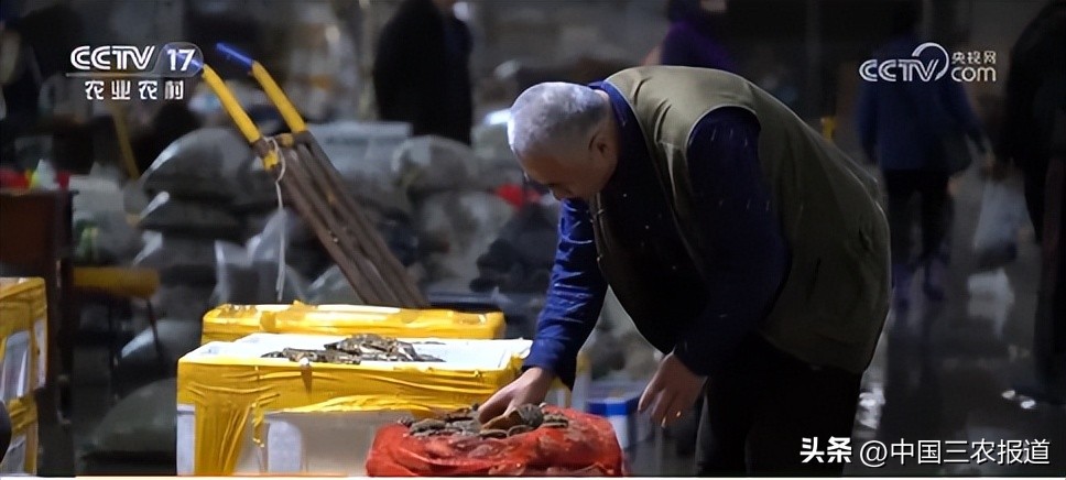 休渔期到来但这些海鲜仍可以选择,休渔期能实现海鲜自由吗