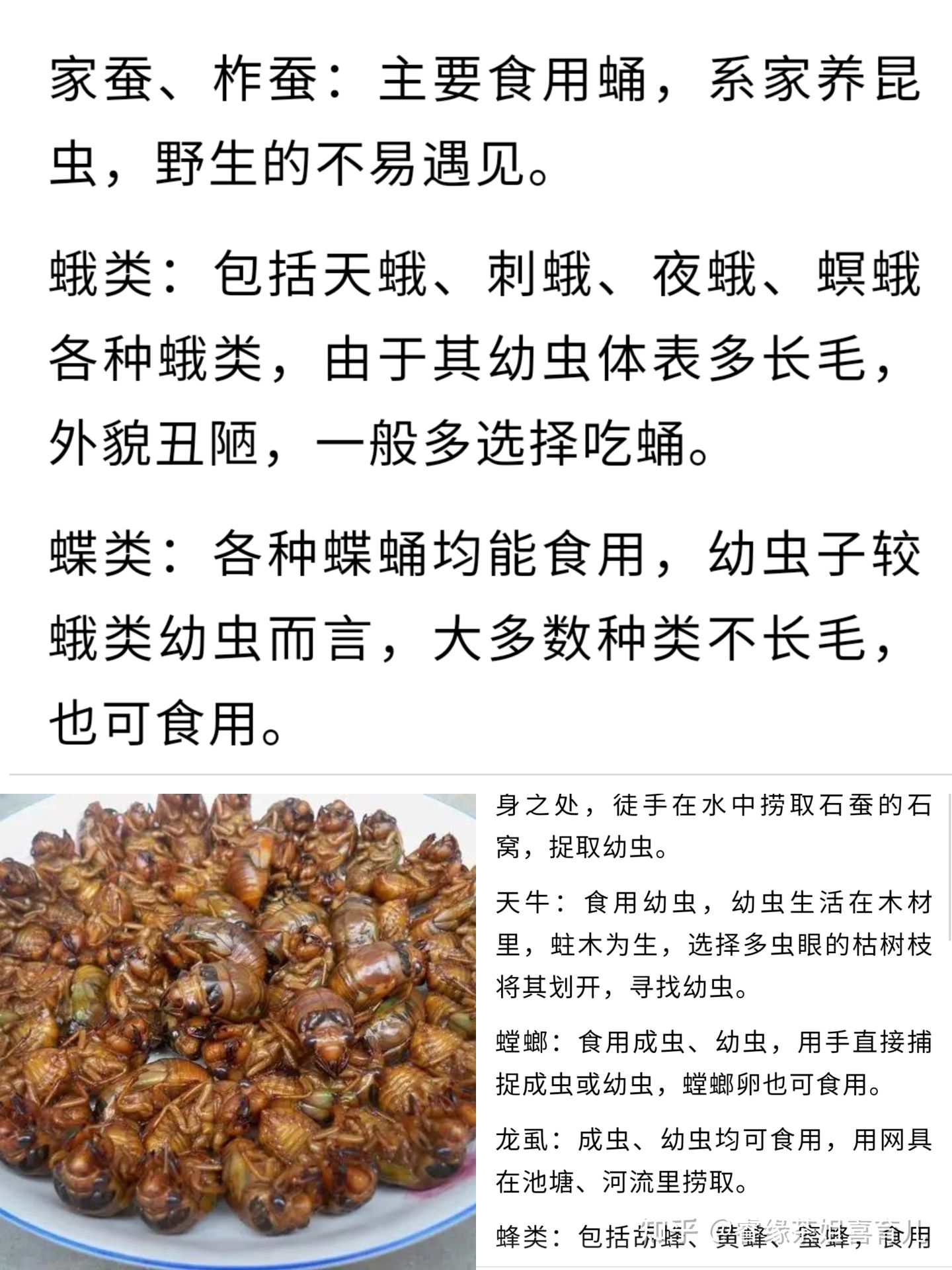 暑假作业出现昆虫类的题目,孩子看都不要看拒绝做这类题
