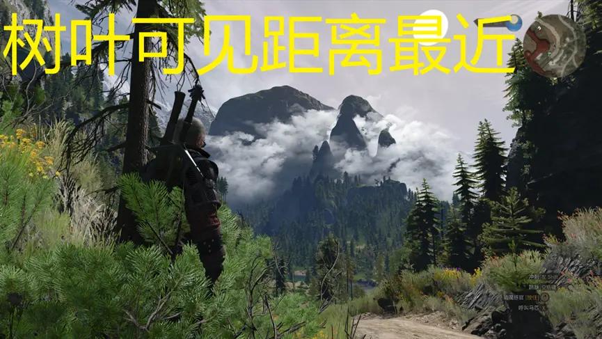 巫师3狂猎switch怎么调帧数,巫师3次世代3060画质最佳配置