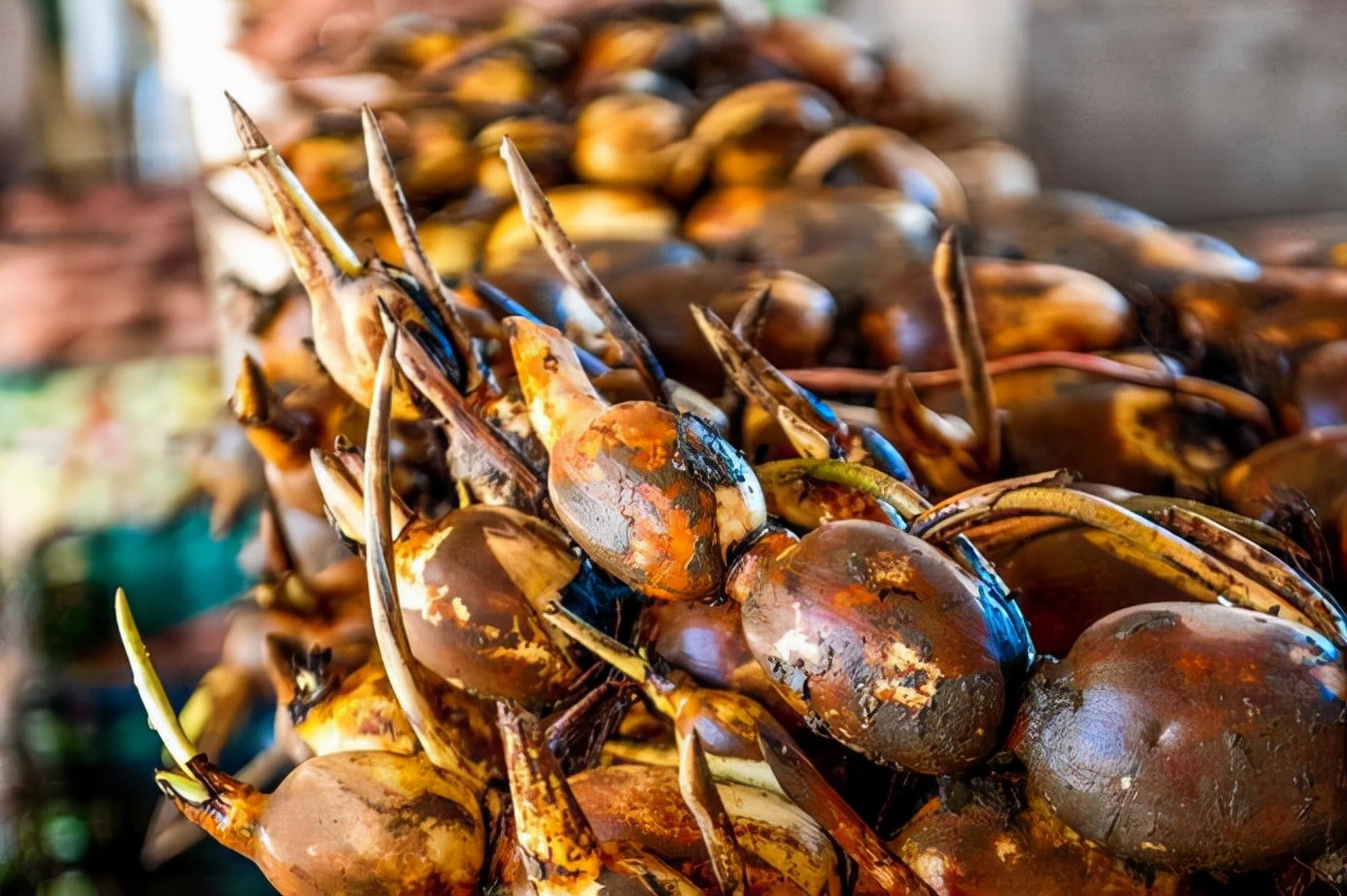广州沿海吃海鲜的地方,广东吃海鲜最好的地方