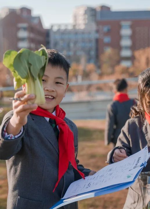 双新改革下的高质量英语教学反思,双减政策下英语教学实录