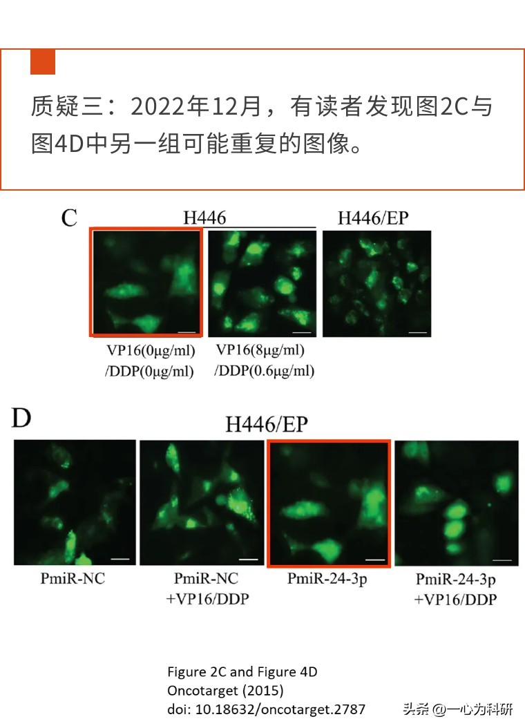 四年内质疑不断，*京大南**学医学院附属金陵医院的早期论文多图重复