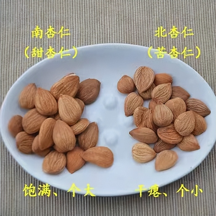 杏仁有止咳平喘的作用吗,苦杏仁能止咳平喘润肠通便吗