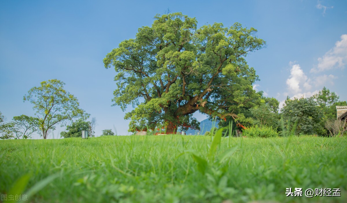 南昌有特色的古村落风景,江西省南昌市安义县千年古村