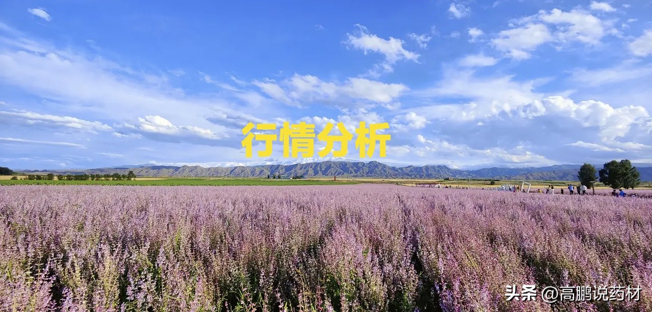 中药材价格持续大涨国家会介入吗,近期中药材价格暴涨对产业的影响