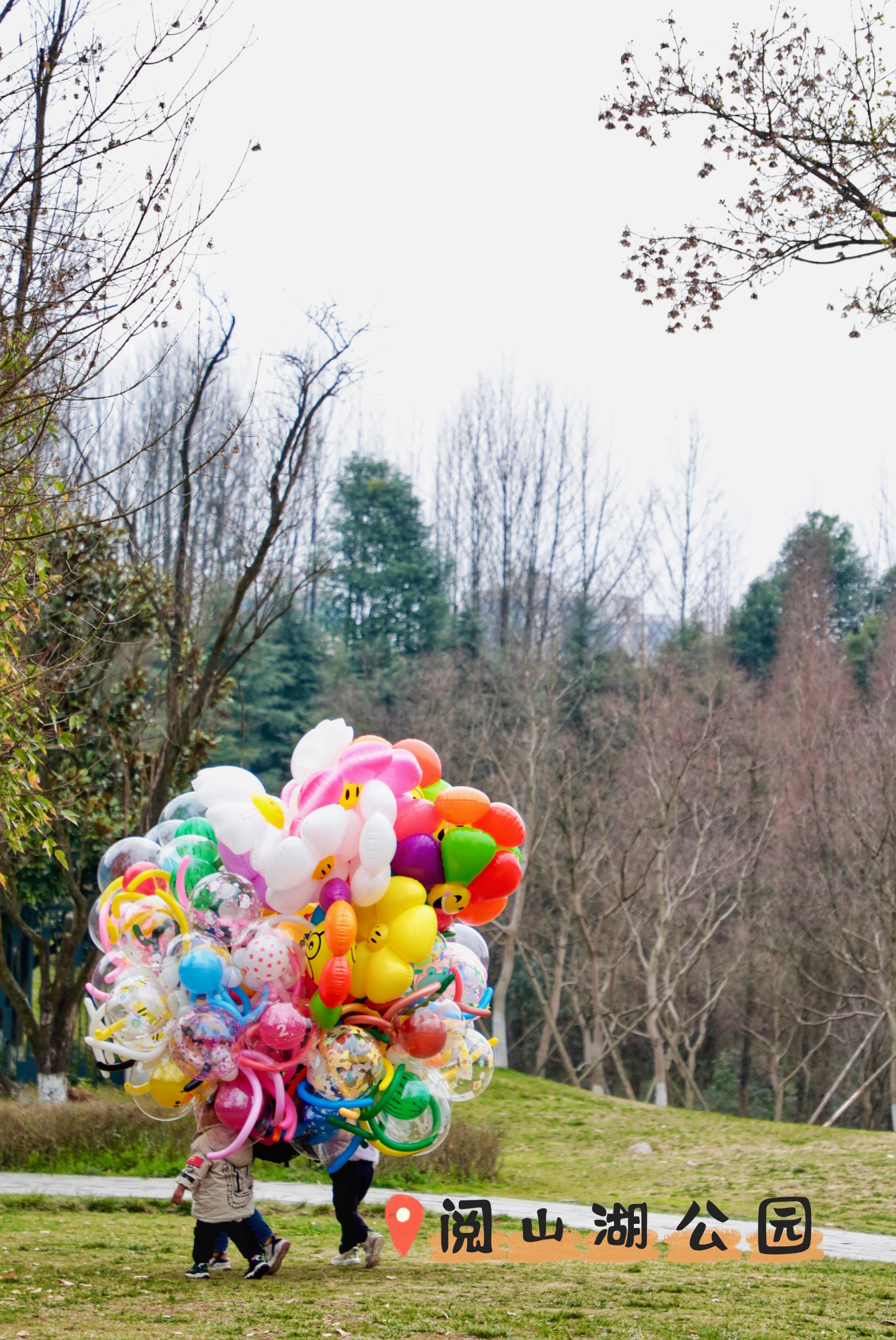 露营|别犹豫了朋友们❗贵阳周边这些自带帐篷的露营地真的很！好！玩！
