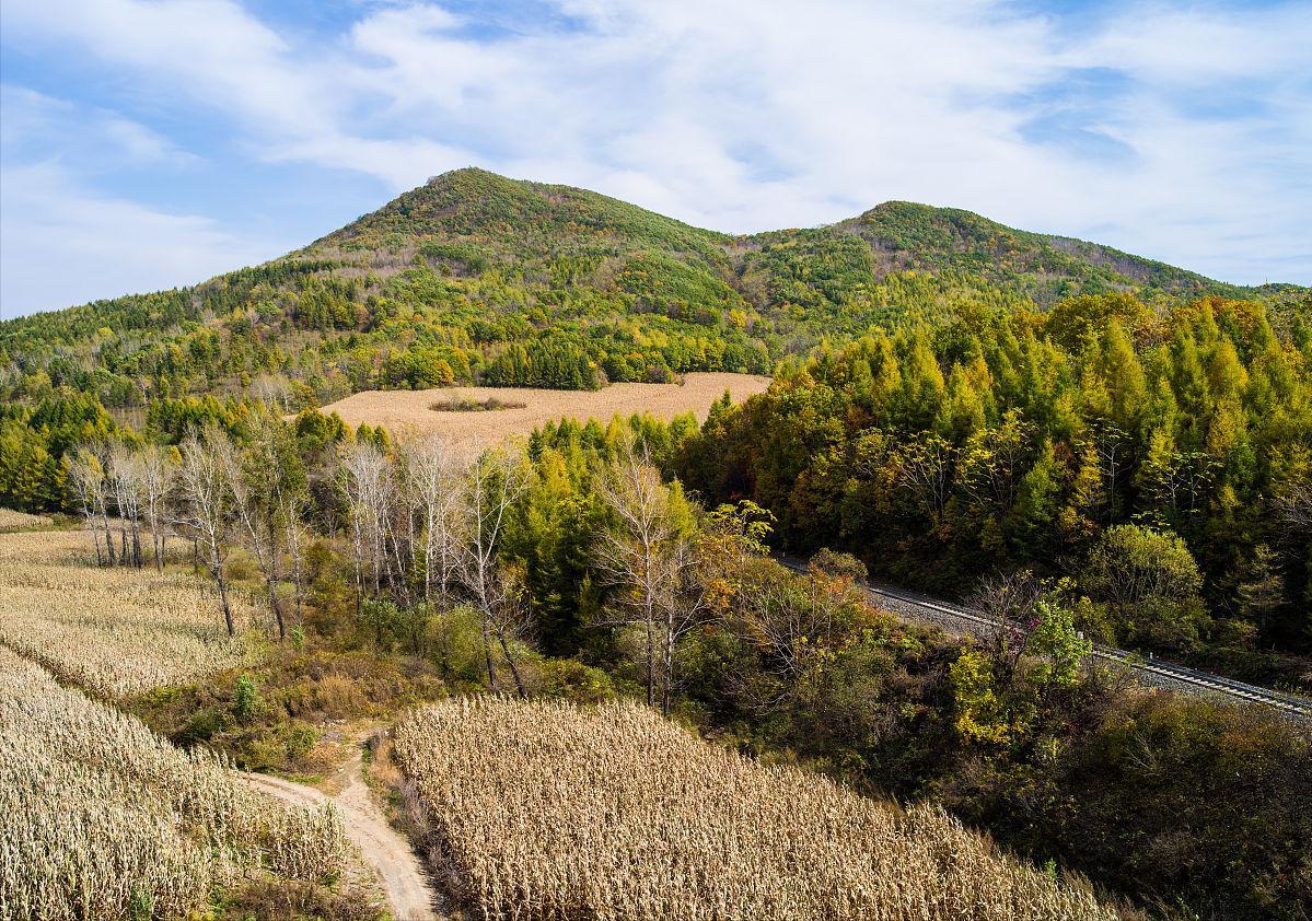 玉米在我国粮食安全中地位,当前玉米是我国第一大粮食作物