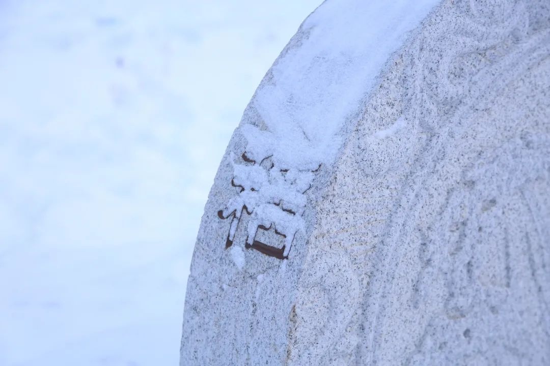 「雪落象牙塔」东北农业大学:银堆玉砌雪漫飞花
