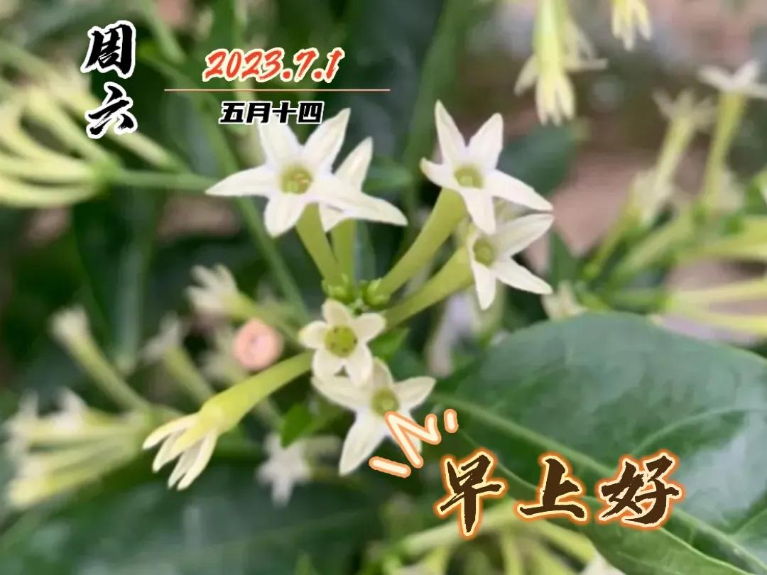 早安图片早上好问候祝福语,早上好图片带字早安问候语大全