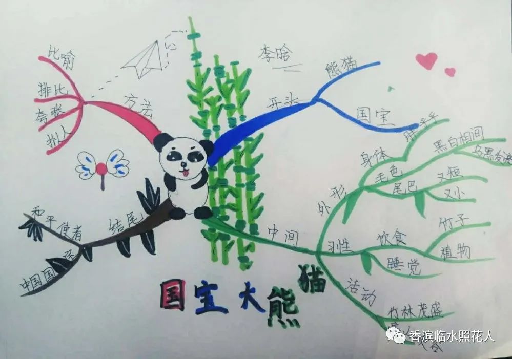国宝大熊猫思维导图三年级,国宝大熊猫思维导图怎么画